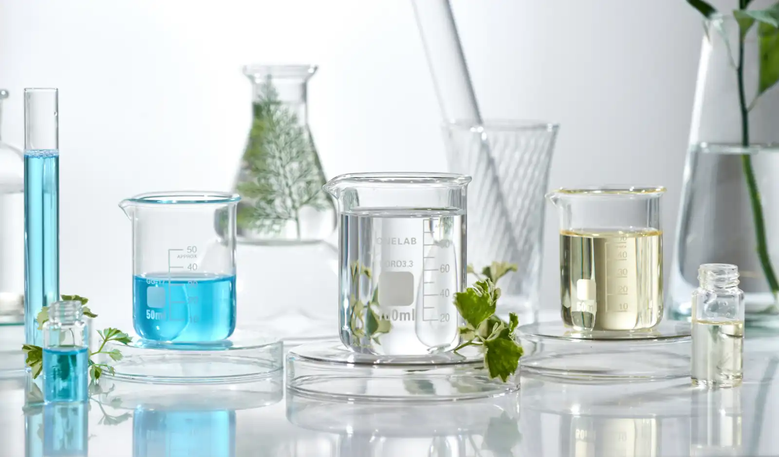 New Leaf Products Review: Quality-First UK Supplements for Everyday Wellness